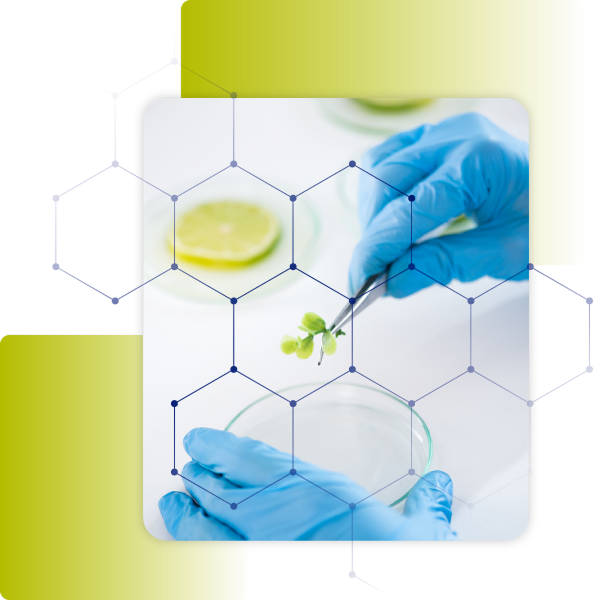 mosaic of hands with tweezers. 